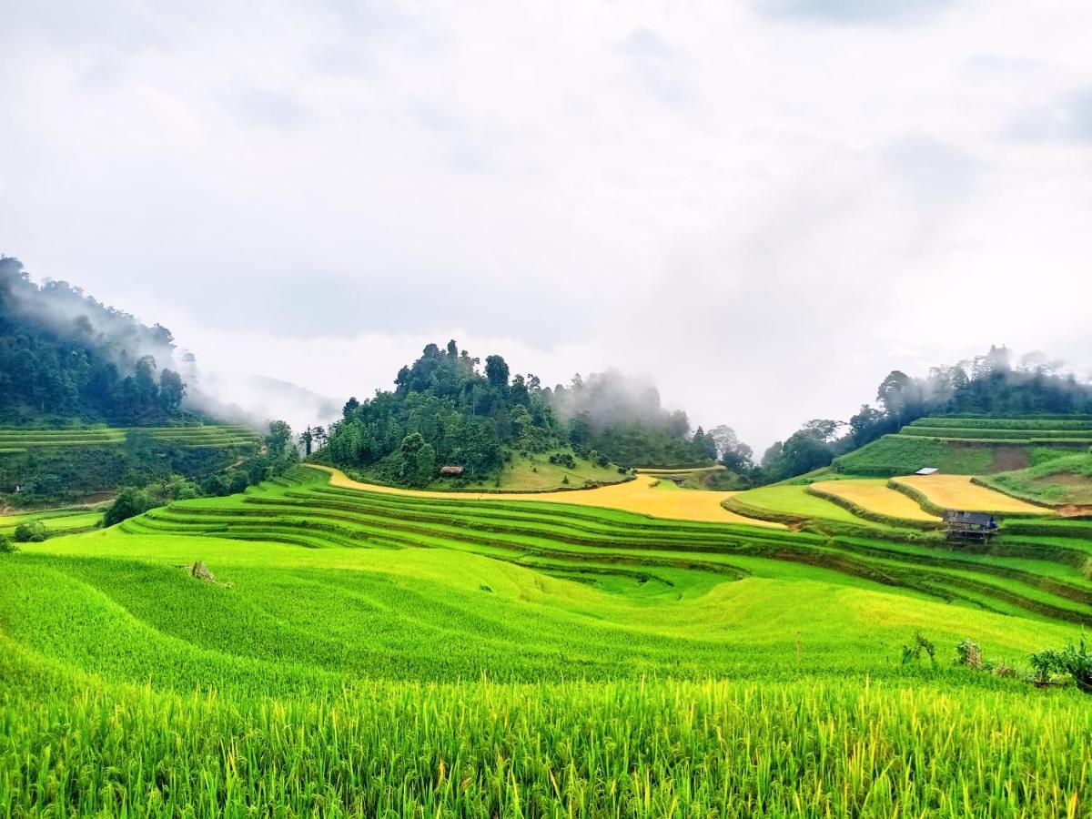 Hoang Su Phi Bungalow Zewnętrze zdjęcie